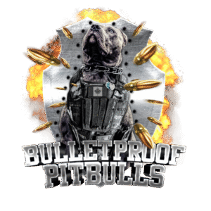 BulletProof Pitbulls